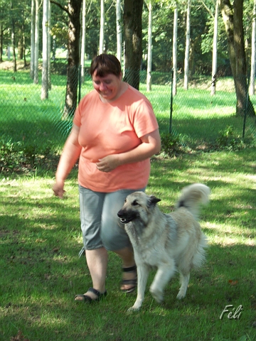 100_9060.JPG