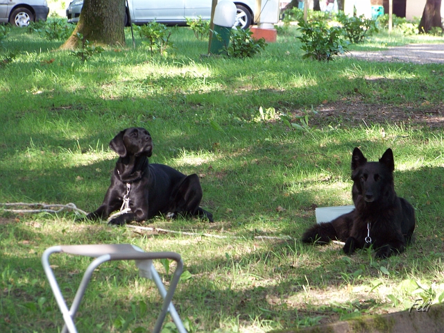 100_9072.JPG