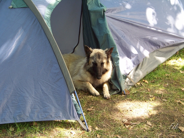 100_9075.JPG