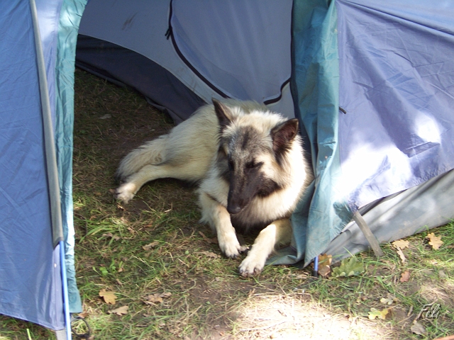 100_9076.JPG