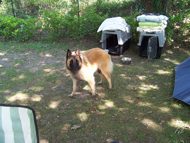 100_9077.JPG