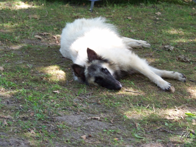 100_9095.JPG