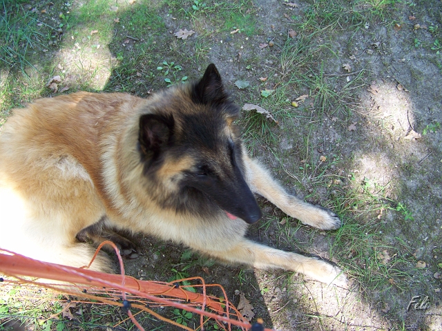 100_9102.JPG