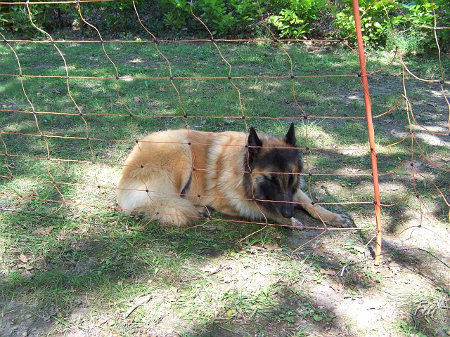 100_9107.JPG