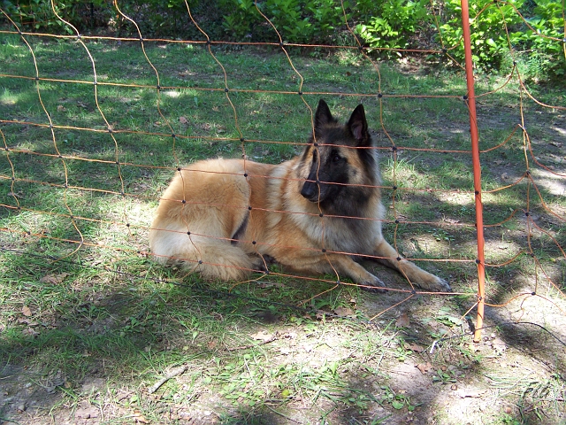 100_9108.JPG